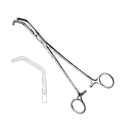 Bronchus, Ligature, Tissue & Organ Holding Forceps
