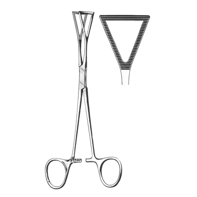 Bronchus, Ligature, Tissue & Organ Holding Forceps